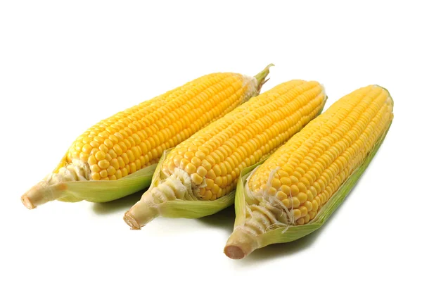 Corn — Stock Photo, Image