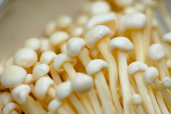 Golden needle mushroom — Stock Photo, Image