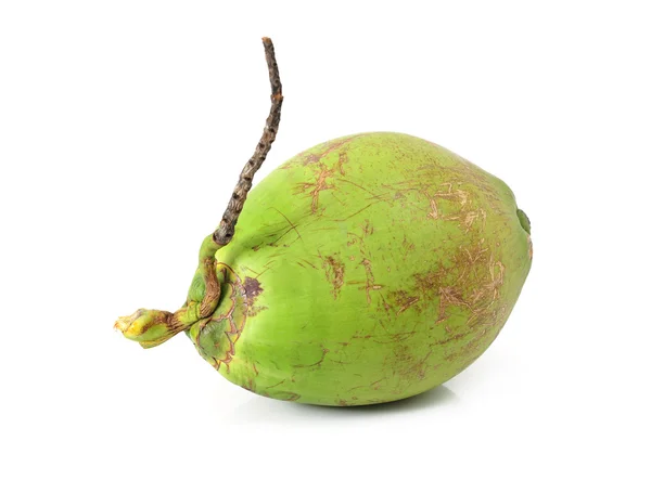 Kokosfrucht — Stockfoto