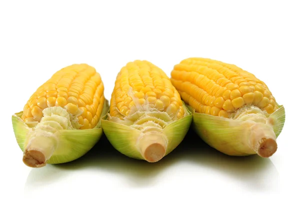 Corn — Stock Photo, Image