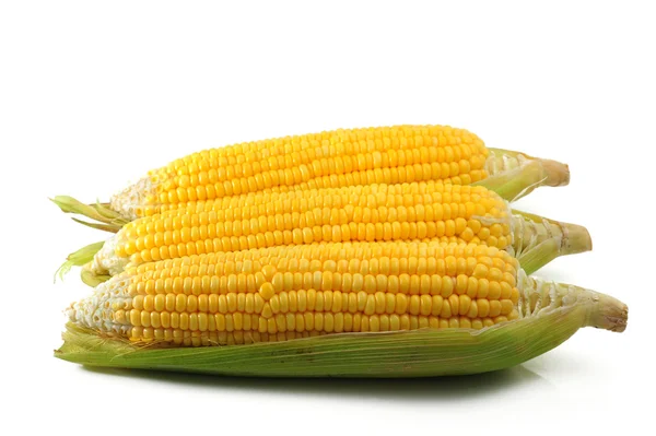 Corn — Stock Photo, Image