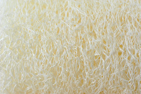 Textura Loofah — Foto de Stock