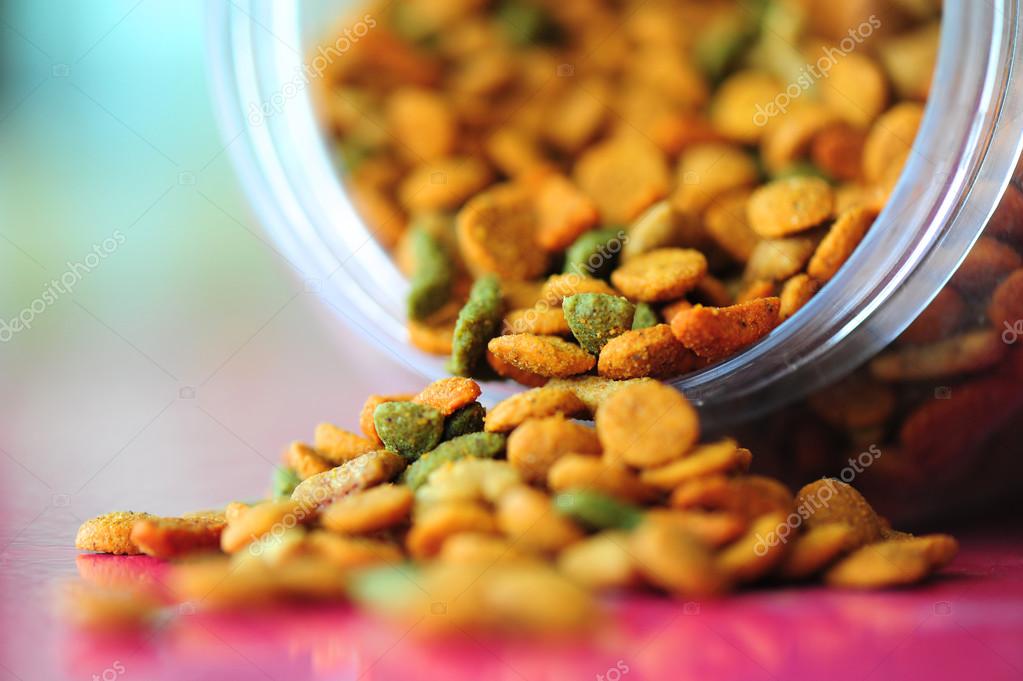 Pet food — Stock Photo © antpkr 41863435