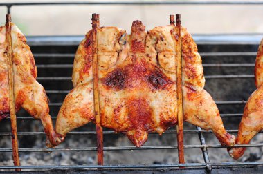 kızartılmış tavuk