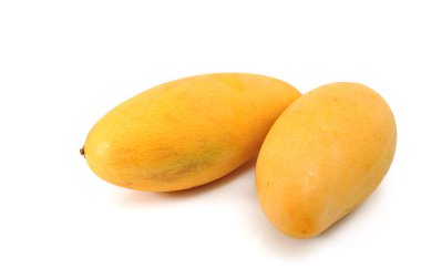 Sarı Mango