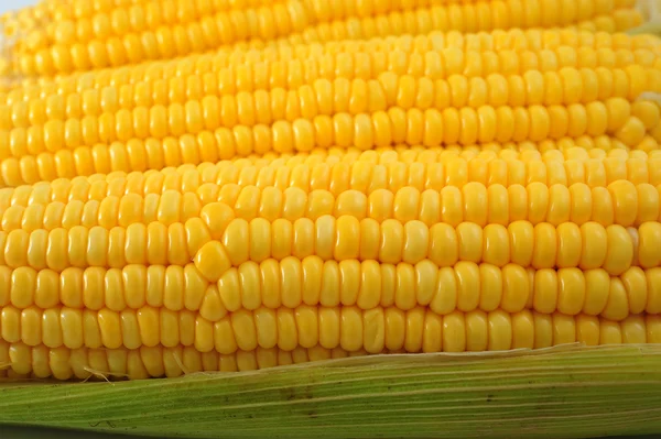 Corn — Stock Photo, Image