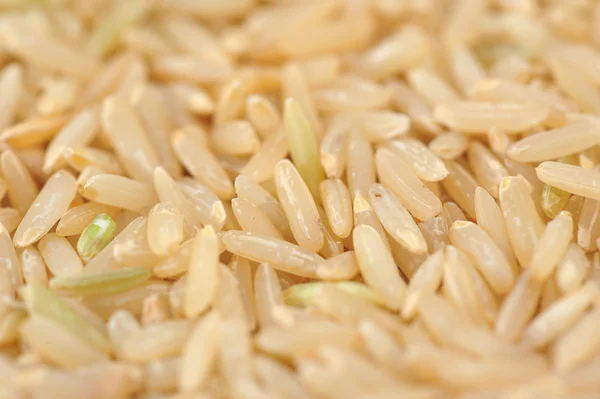 Brown rice — Stock Photo, Image