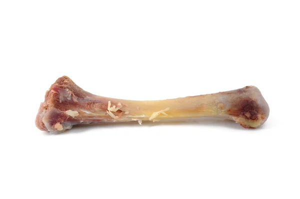 Chicken leg bones — Stock Photo, Image