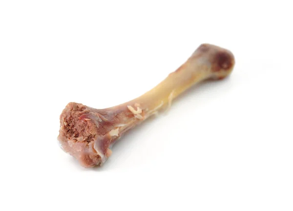 Huesos de pierna de pollo — Foto de Stock