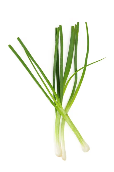 Fresh Scallions — Stock Photo, Image