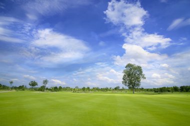 Golf Sahası