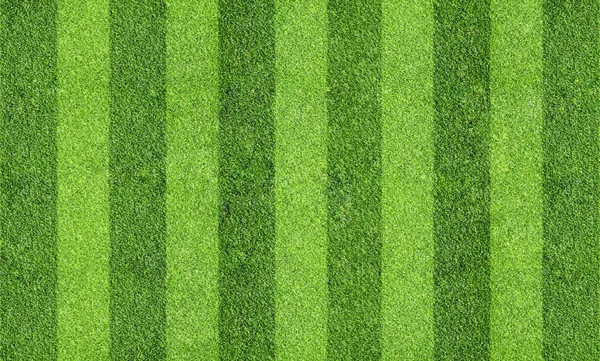 Şeritli çim — Stok fotoğraf