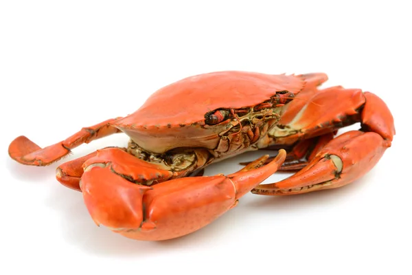 Cooked Blue Crab — Stock Photo, Image