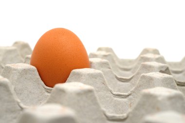 craton içinde yumurta