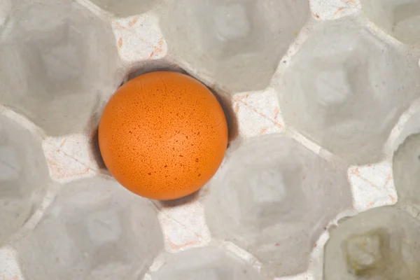 Craton에 계란 — 스톡 사진