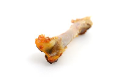 tavuk bacak kemiği