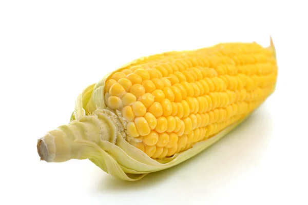 Corn — Stock Photo, Image