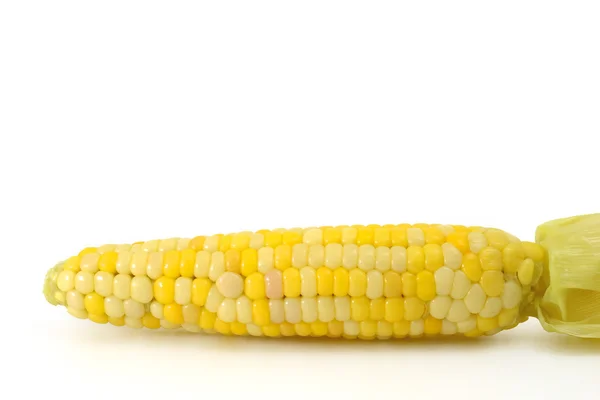 Кукурудза цукрова — стокове фото