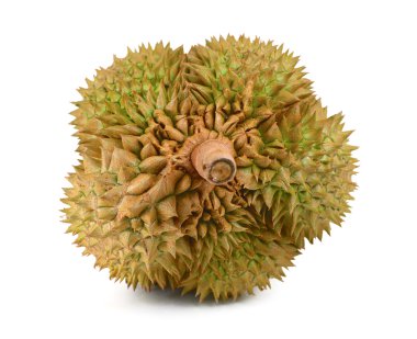 Durian meyve