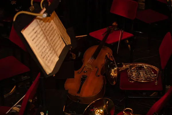 Violoncello Corno Francia Sulla Sedia Durante Intervallo Teatro — Foto Stock