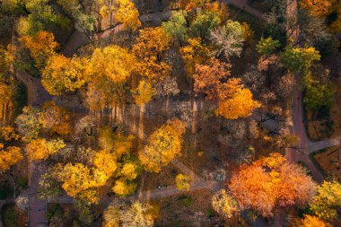 Sonbaharda İHA 'dan parka hava görüntüsü