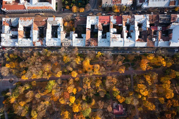 Aerial View Park Autumn Drone — Stock Photo, Image