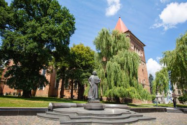 Drohobych, Ukrayna - Temmuz 2021: Drohobych, Ukrayna 'daki Yuriy Drohobych Anıtı' nın havadan görünüşü