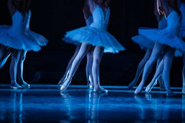 Kuğu Gölü balesi. Dans eden balerinlerin yakın çekimi