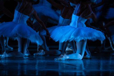 Kuğu Gölü balesi. Dans eden balerinlerin yakın çekimi