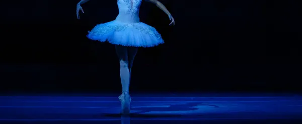 Ballet Lago Dos Cisnes Closeup Bailarinas Dançando — Fotografia de Stock