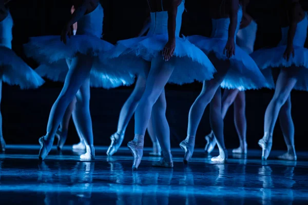 Kuğu Gölü balesi. Dans eden balerinlerin yakın çekimi