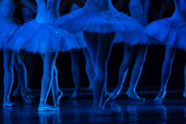 Kuğu Gölü balesi. Dans eden balerinlerin yakın çekimi