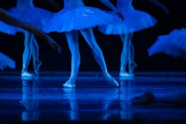 Kuğu Gölü balesi. Dans eden balerinlerin yakın çekimi