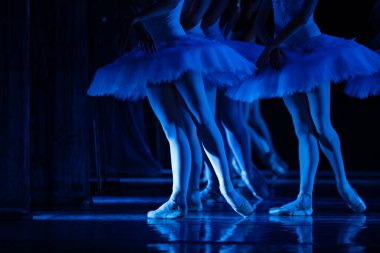 Kuğu Gölü balesi. Dans eden balerinlerin yakın çekimi