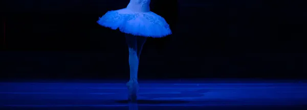 Swan Lake Ballet Closeup Ballerinas Dancing — Stock Photo, Image