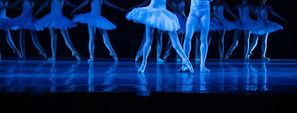 Balet Labutí Jezero Detailní Záběr Tanečních Baletek — Stock fotografie