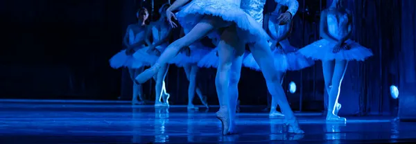Ballet Swan Lake Primer Plano Bailarinas Bailando — Foto de Stock