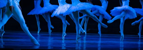 Ballet Swan Lake Primer Plano Bailarinas Bailando — Foto de Stock
