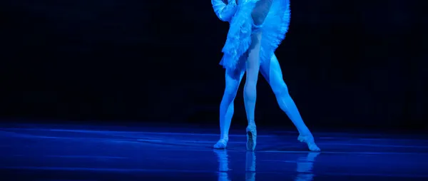 Schwanensee Ballett Großaufnahme Von Tanzenden Ballerinen — Stockfoto