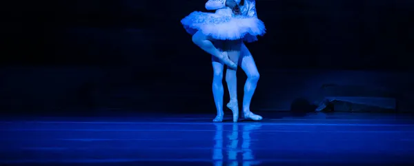 Schwanensee Ballett Großaufnahme Von Tanzenden Ballerinen — Stockfoto