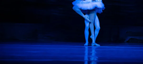 Ballet Lago Dos Cisnes Closeup Bailarinas Dançando — Fotografia de Stock