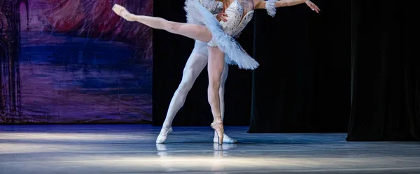 Svansjön Balett Närbild Ballerinor Dans — Stockfoto