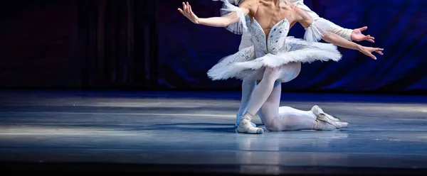 Swan Lake Ballet Closeup Ballerinas Dancing — Stock Photo, Image