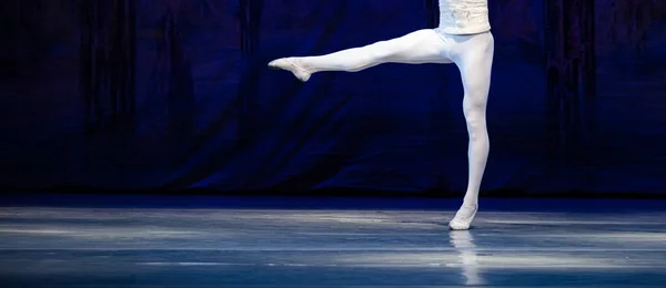 Ballet Lago Dos Cisnes Closeup Bailarinas Dançando — Fotografia de Stock