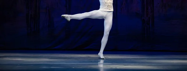 Balletto Del Lago Dei Cigni Primo Piano Ballerine Che Ballano — Foto Stock