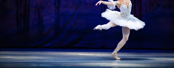 Ballet Lago Dos Cisnes Closeup Bailarinas Dançando — Fotografia de Stock