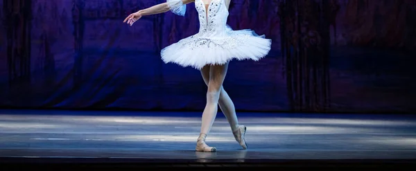 Ballet Lago Dos Cisnes Closeup Bailarinas Dançando — Fotografia de Stock