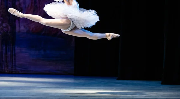 Ballet Lago Dos Cisnes Closeup Bailarinas Dançando — Fotografia de Stock