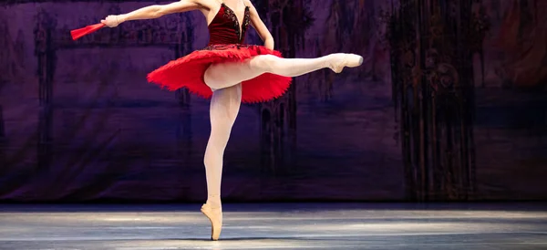 Ballet Don Quixote Closeup Bailarinas Dançando — Fotografia de Stock