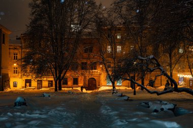 Lviv, Ukrayna - 17 Şubat 2021: Kışın geceleri Lviv Caddesi